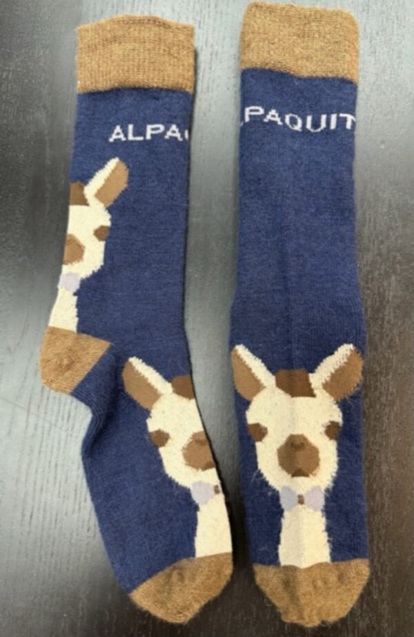 Alpaca with bow tie sock
