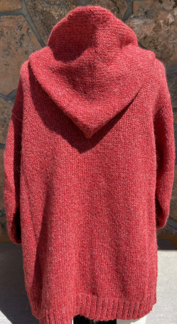 back of alpaca blend Briana hoodie in red color