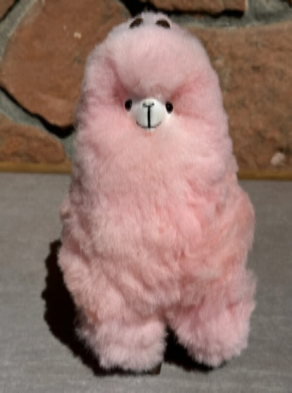 pink 12" alpaca